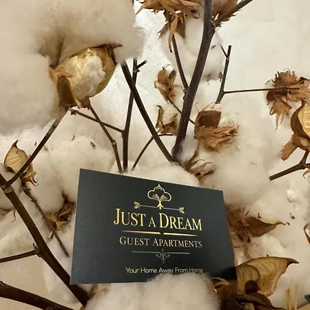 Just A Dream - Guest